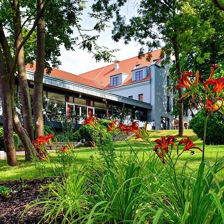 Arthotel Kiebitzberg Хавелберг Екстериор снимка